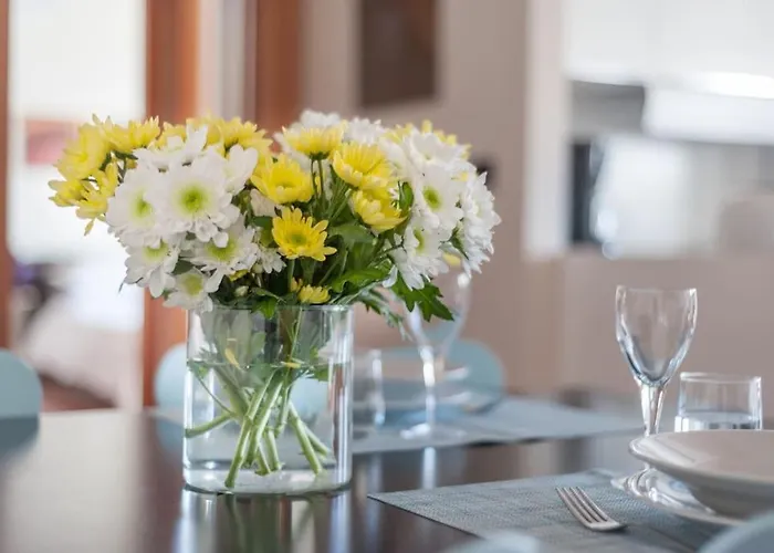 Ca' Altanella, Amazing Views From The Terrace! 公寓